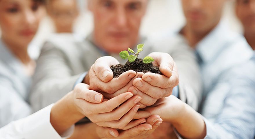 Hands holding a seedling, representing growth